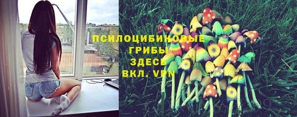 прущий лед Алексеевка