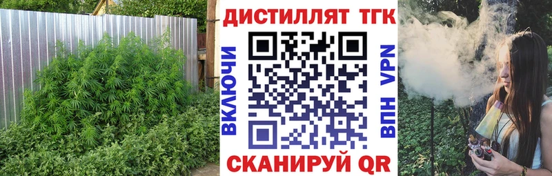 купить наркотики цена  Злынка  Дистиллят ТГК THC oil 