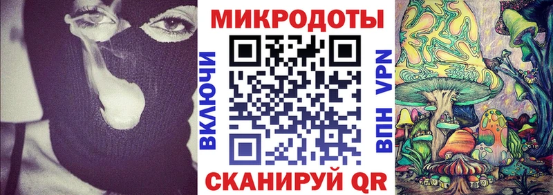 Псилоцибиновые грибы Psilocybe Злынка